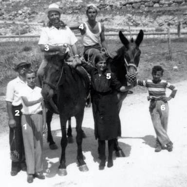 Mules in Calascio, 1955.
