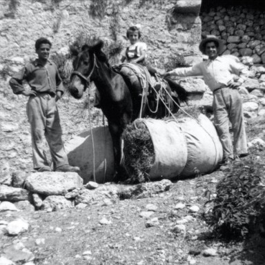 Marinacci Brothers and their Sister, 1955, Calascio.